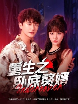 重生之卧底赘婿